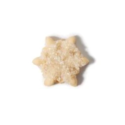 Good Grips Cookie Press Disk Set | OXO 28 Good Grips Cookie Press Disk Set | OXO -OXO Sale Store 11177800 6 snow flake decorated