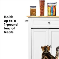 OXO Good Grips Pet POP Container – 1.1 Qt/1 L 8 OXO Good Grips Pet POP Container – 1.1 Qt/1 L -OXO Sale Store gg 11332600 8